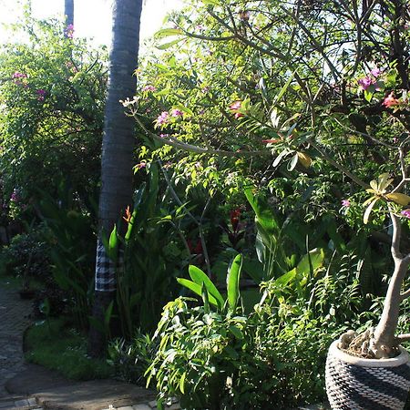 Cleopatra Beach Bungalows Ξενοδοχείο Lovina Εξωτερικό φωτογραφία