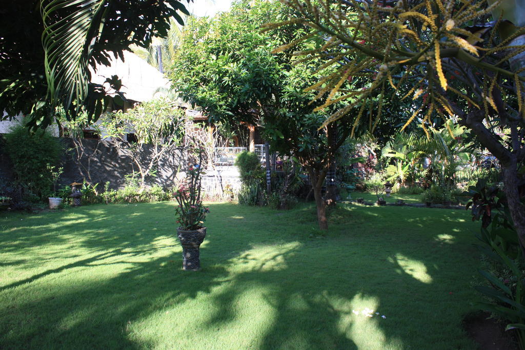 Cleopatra Beach Bungalows Ξενοδοχείο Lovina Δωμάτιο φωτογραφία